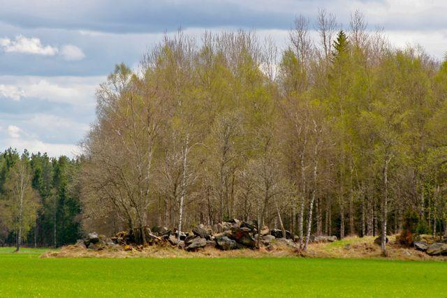 Värnamo Stuga Linnebraten מראה חיצוני תמונה